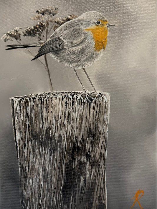 Bobbin Robin